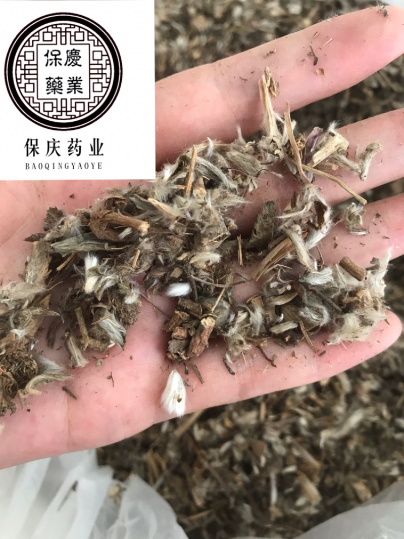 白头翁白头公野丈人保庆药业批发白头翁实物拍摄