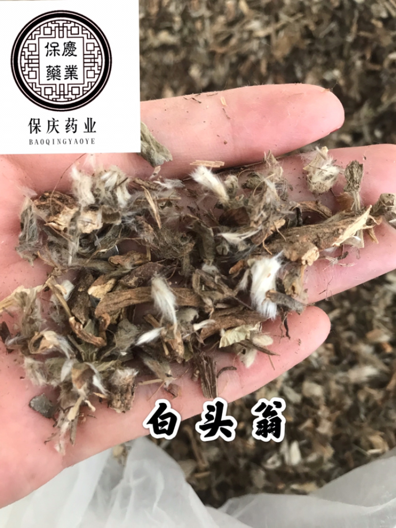 白头翁白头公野丈人保庆药业批发白头翁实物拍摄