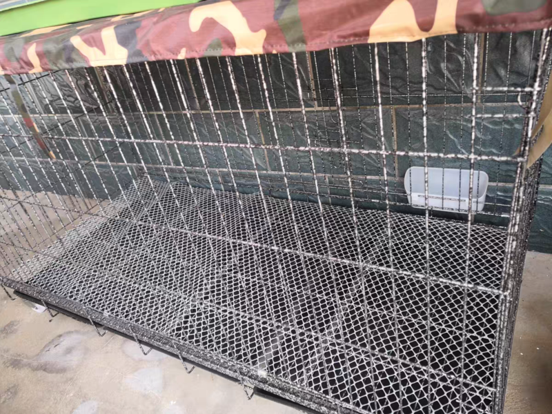 全新加密特大号养殖鸡笼折叠狗笼家用蛋鸡笼