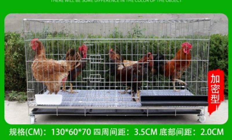 全新加密特大号养殖鸡笼折叠狗笼家用蛋鸡笼