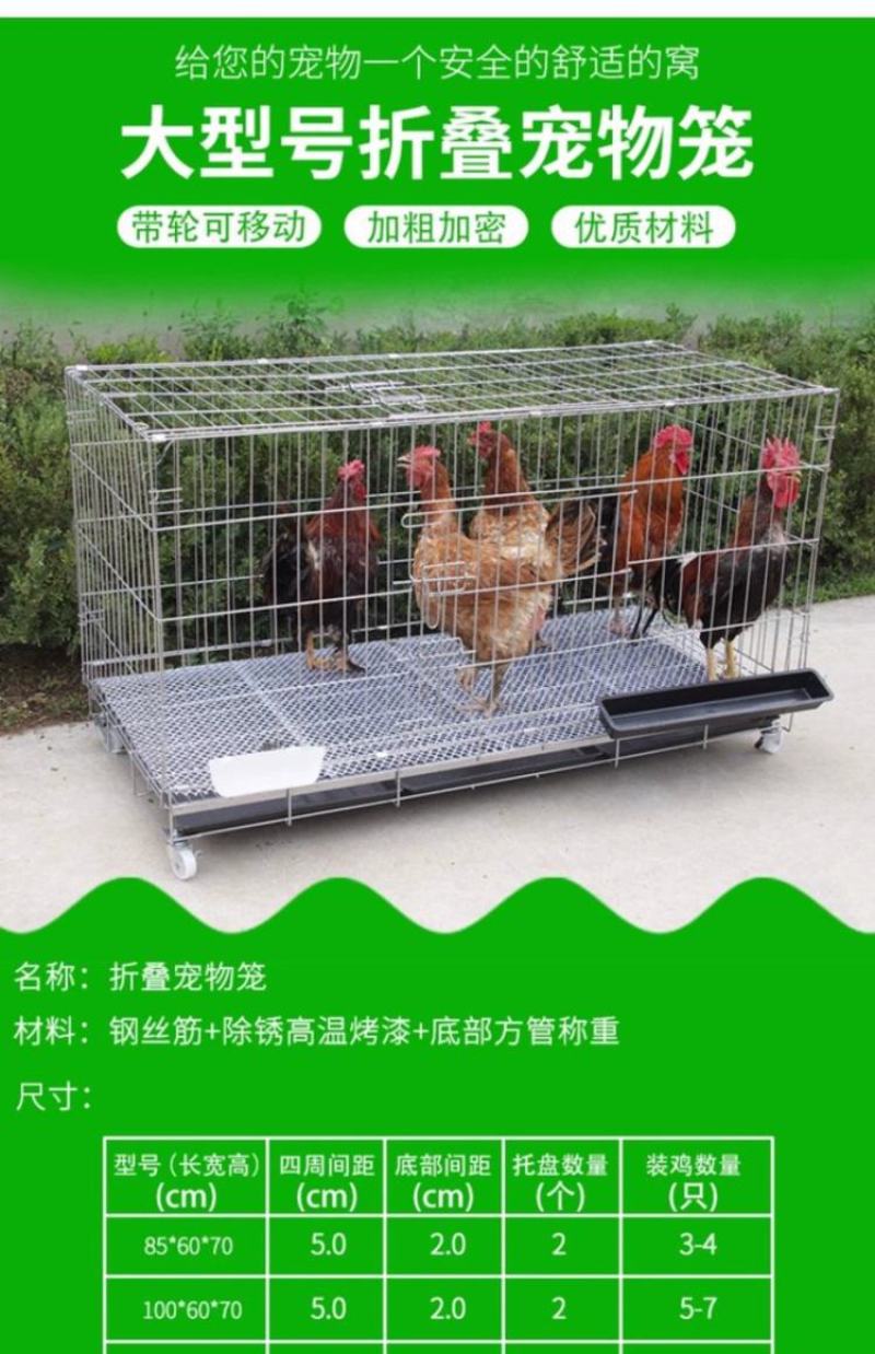 全新加密特大号养殖鸡笼折叠狗笼家用蛋鸡笼