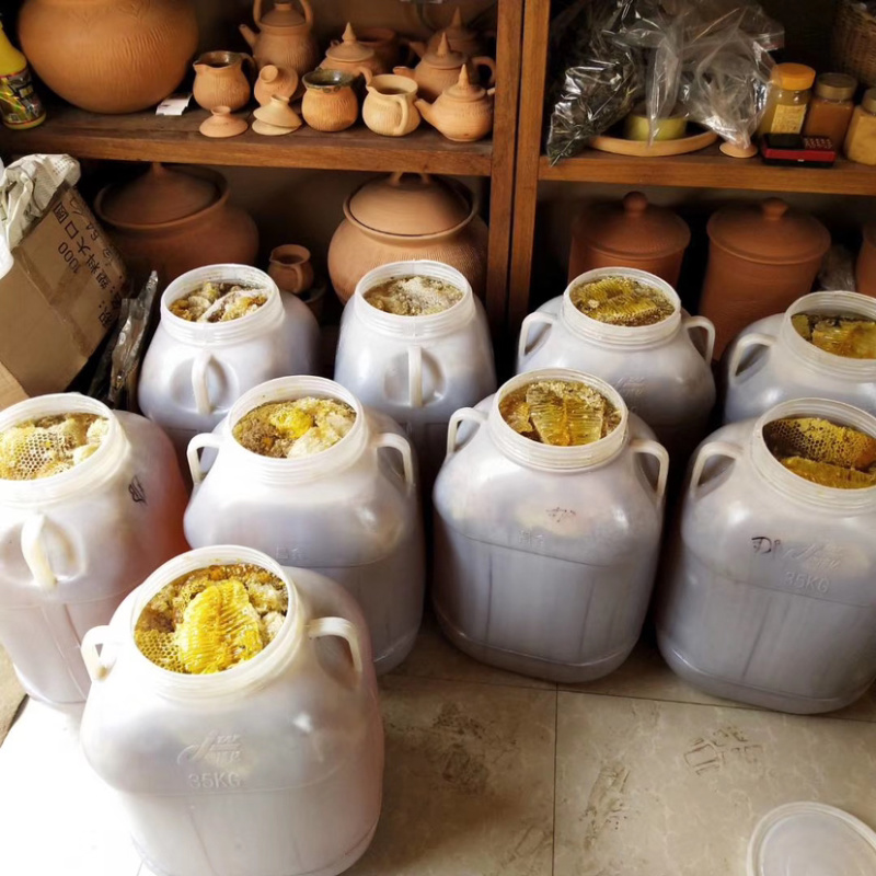 大挂蜜马叉蜂蜜树挂蜜野生蜂蜜