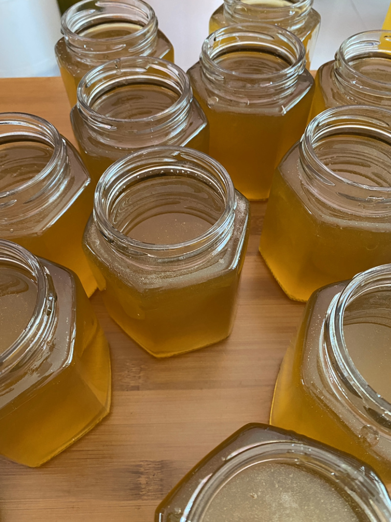 大挂蜜马叉蜂蜜树挂蜜野生蜂蜜