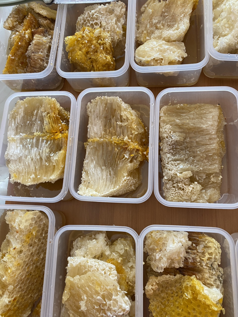 大挂蜜马叉蜂蜜树挂蜜野生蜂蜜