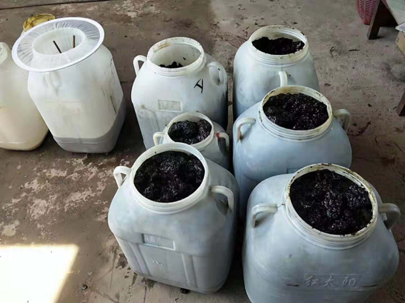 树酸蜂蜜野生蜂蜜无刺酸蜂
