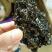土酸蜂蜜无刺酸蜂树酸蜂蜜