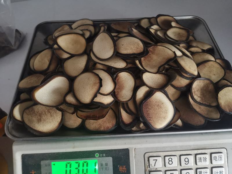 精品梅花鹿茸片粉片大粉片粉正品质量保证欢迎采购