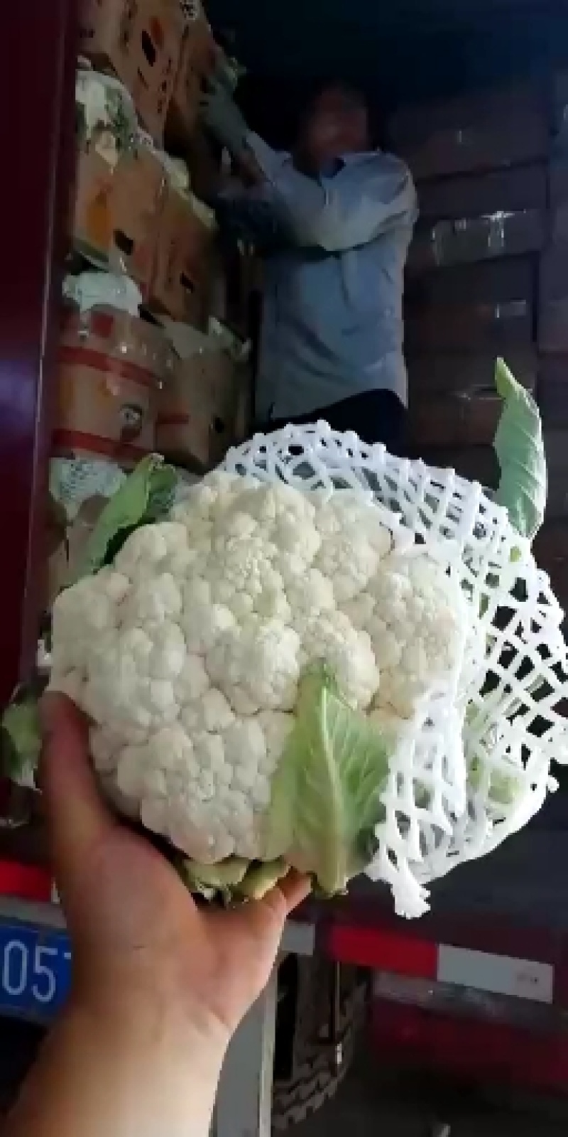 有机花菜松花菜实花新货上市青梗白面产地直销