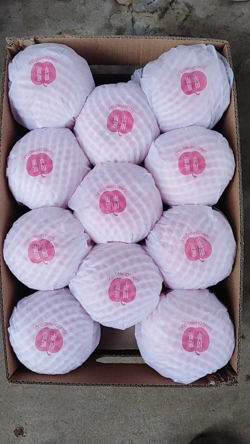 精品优质红富士出售全国各地