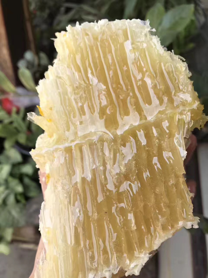 悬崖蜜崖蜜岩蜜野生蜂蜜