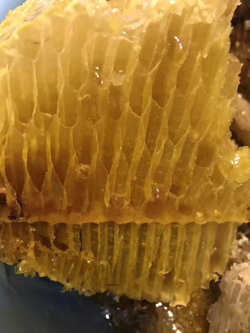 悬崖蜜崖蜜岩蜜野生蜂蜜