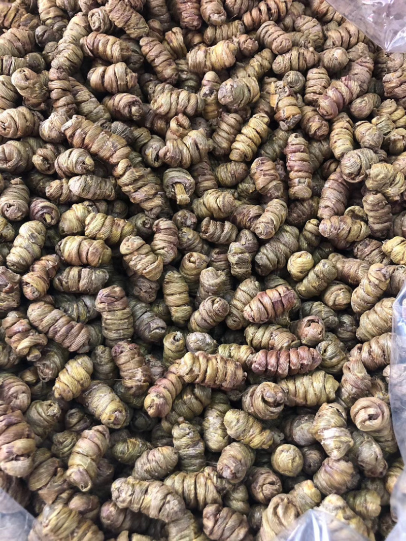 铁皮石斛铁皮枫斗鲜条切片干条。优质货