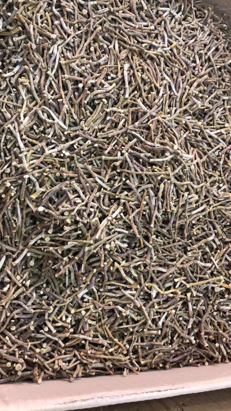 铁皮石斛铁皮枫斗鲜条切片干条。优质货