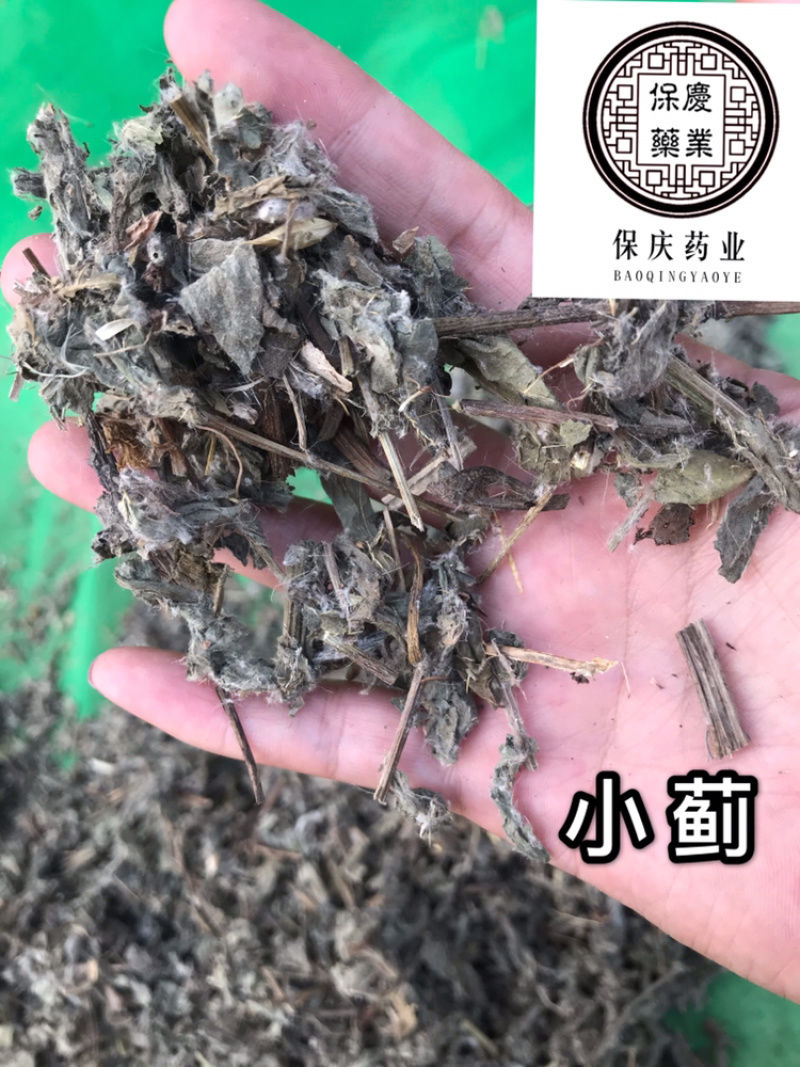 小蓟保庆药业批发小蓟实物拍摄统货小蓟发货如图！