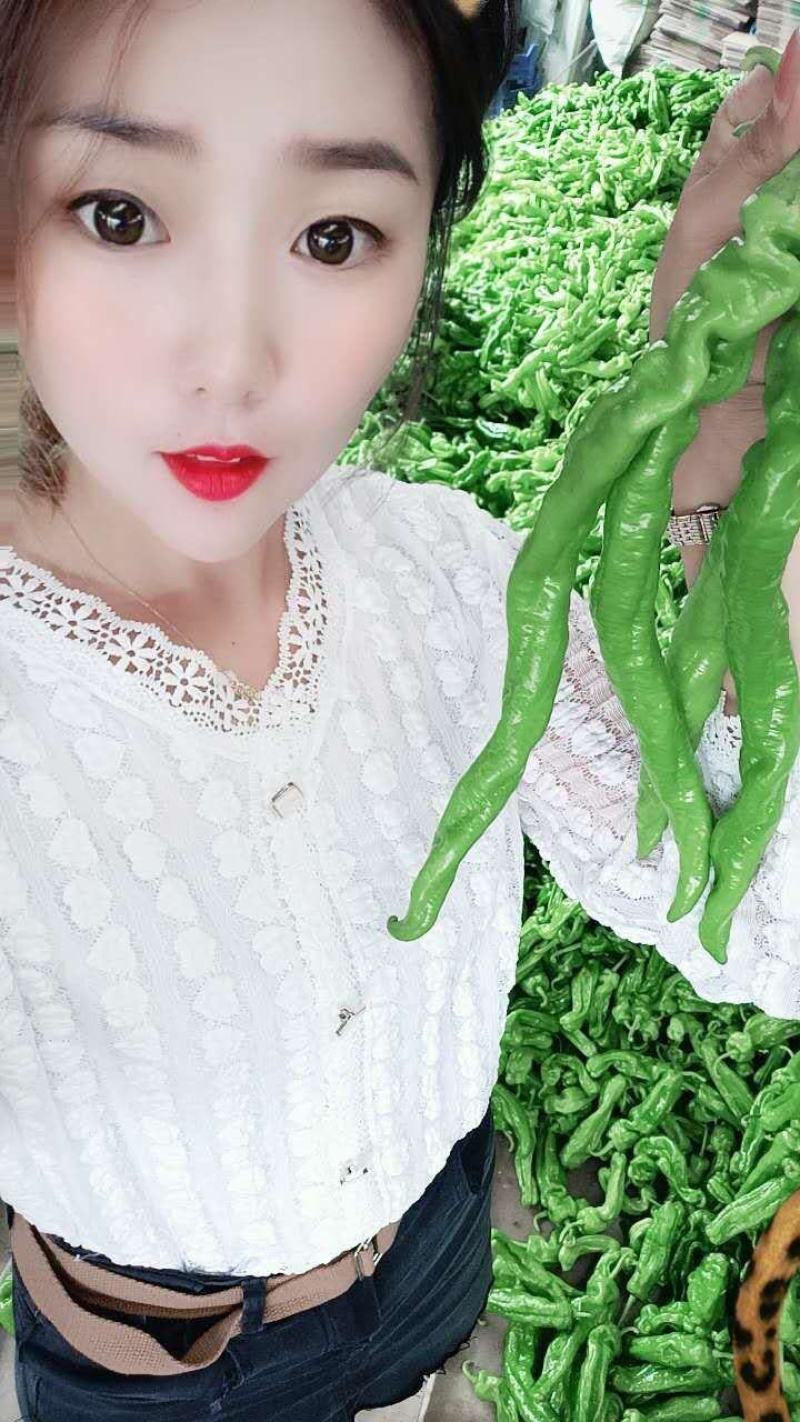 【鲜辣椒】山东螺丝椒芜湖椒产地直供现摘现发质量保证