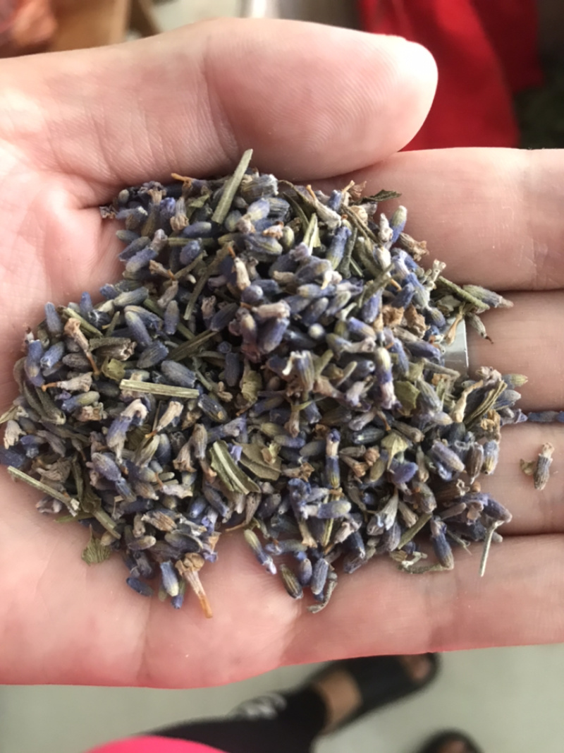 薰衣草保庆药业批发药用薰衣草实物拍摄发货如图薰衣草
