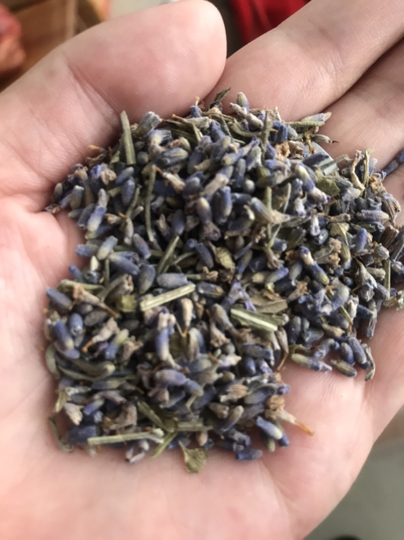 薰衣草保庆药业批发药用薰衣草实物拍摄发货如图薰衣草