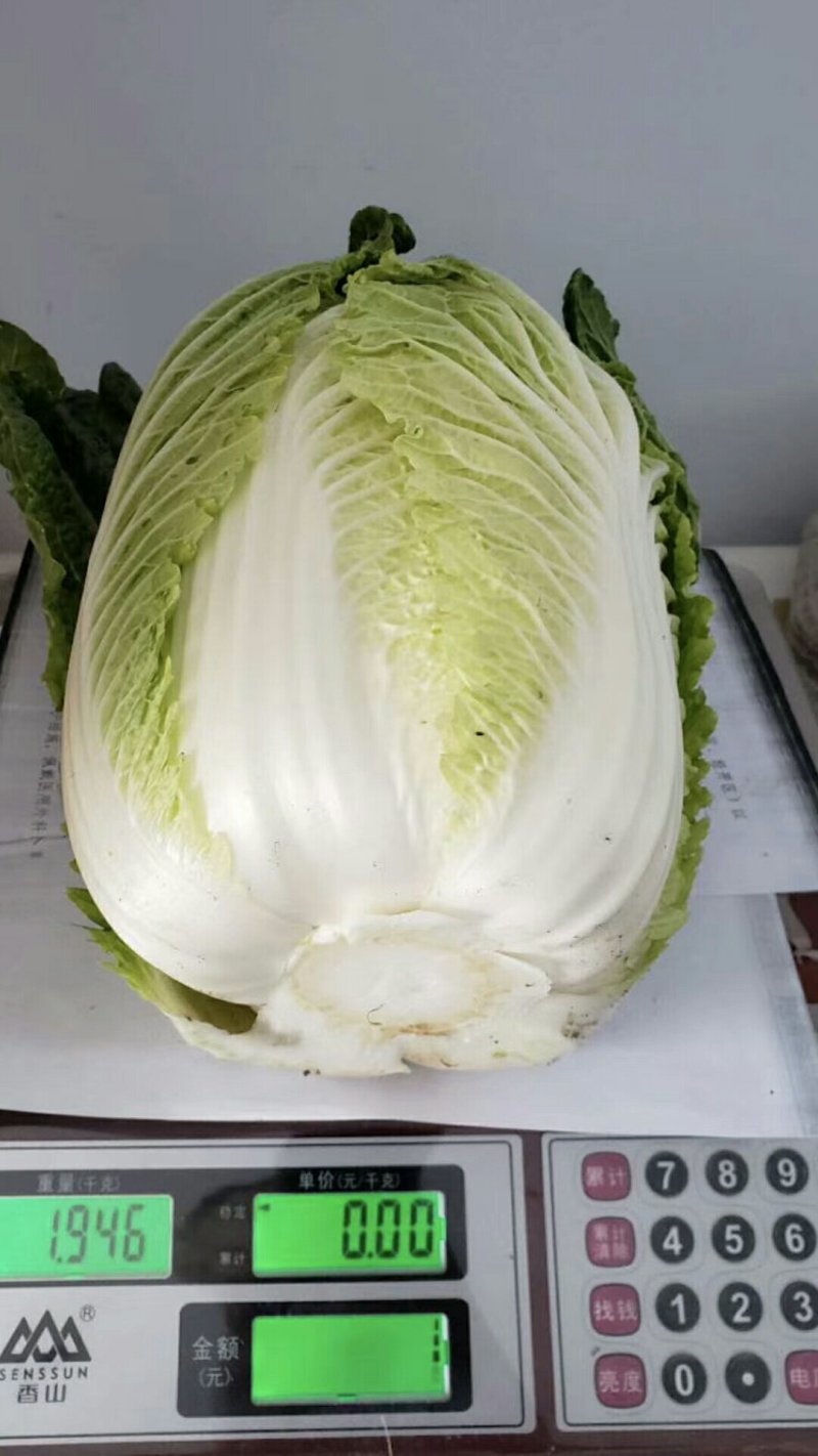 玲珑黄心白菜