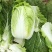 玲珑黄心白菜