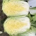 玲珑黄心白菜