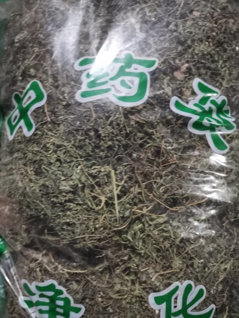 鹅不食草无硫中草药新鲜干货干净无杂批发零售包邮