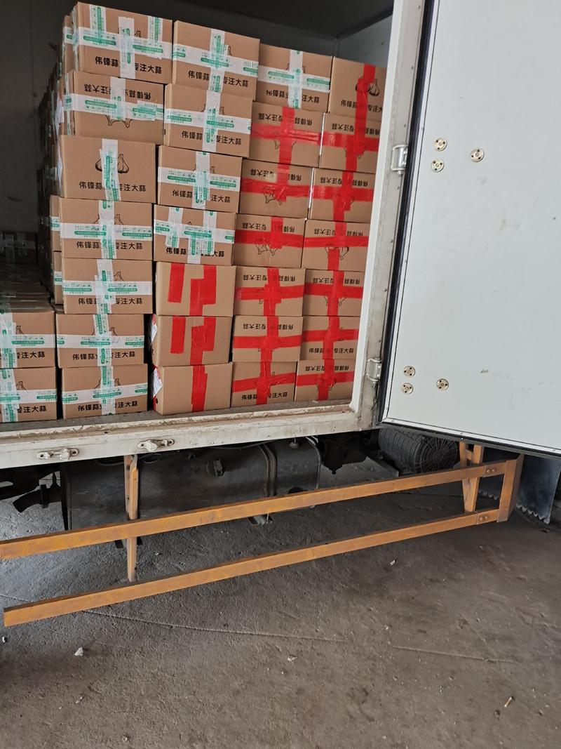 山东大蒜电商一件代发5斤包装，质量保证，各大平台