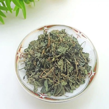 爵床无硫中草药新鲜干货冷背品种一公斤起包邮