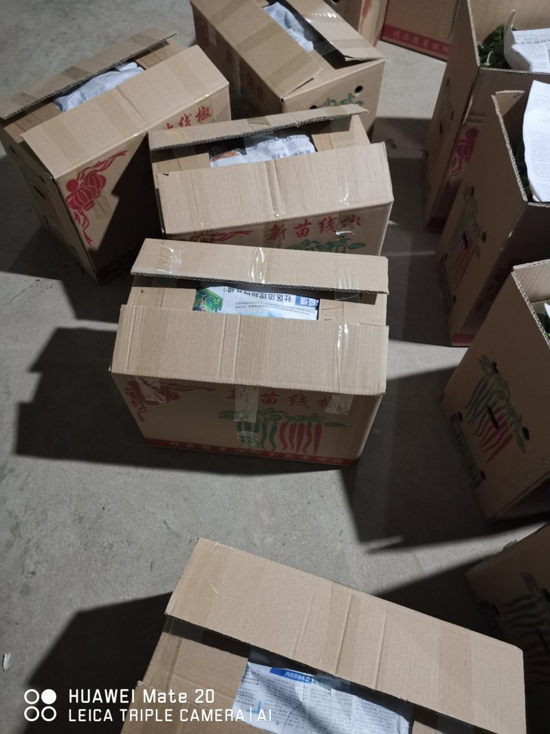 皱皮椒的质量很好，价格高
