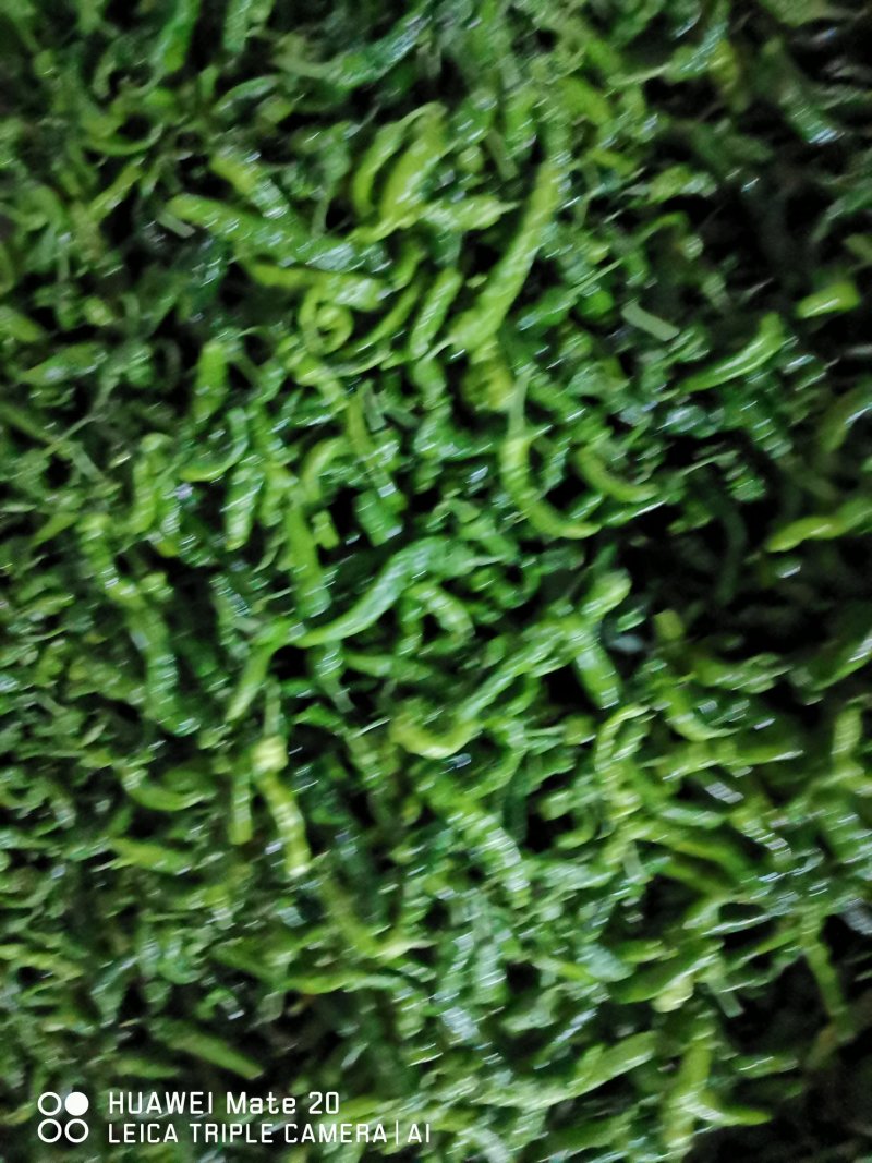 皱皮椒的质量很好，价格高