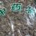 香茅草正品无硫中草药柠檬草香新鲜干货一公斤起包邮到家