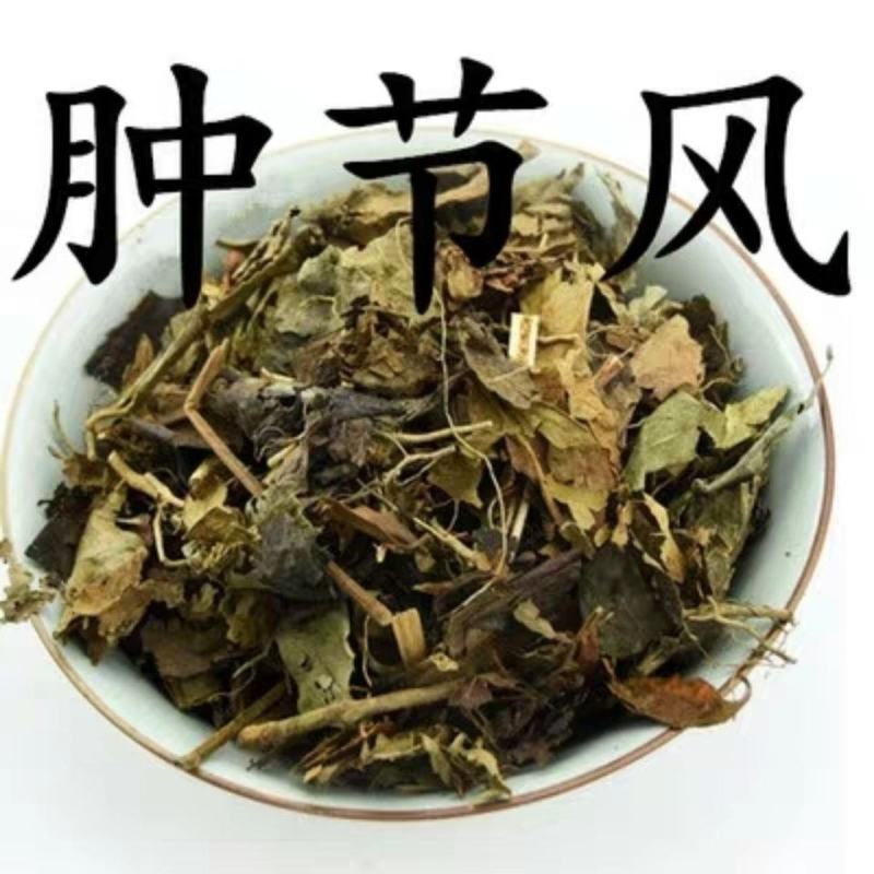肿节风无硫中草药新鲜干货冷背品种2斤起包邮