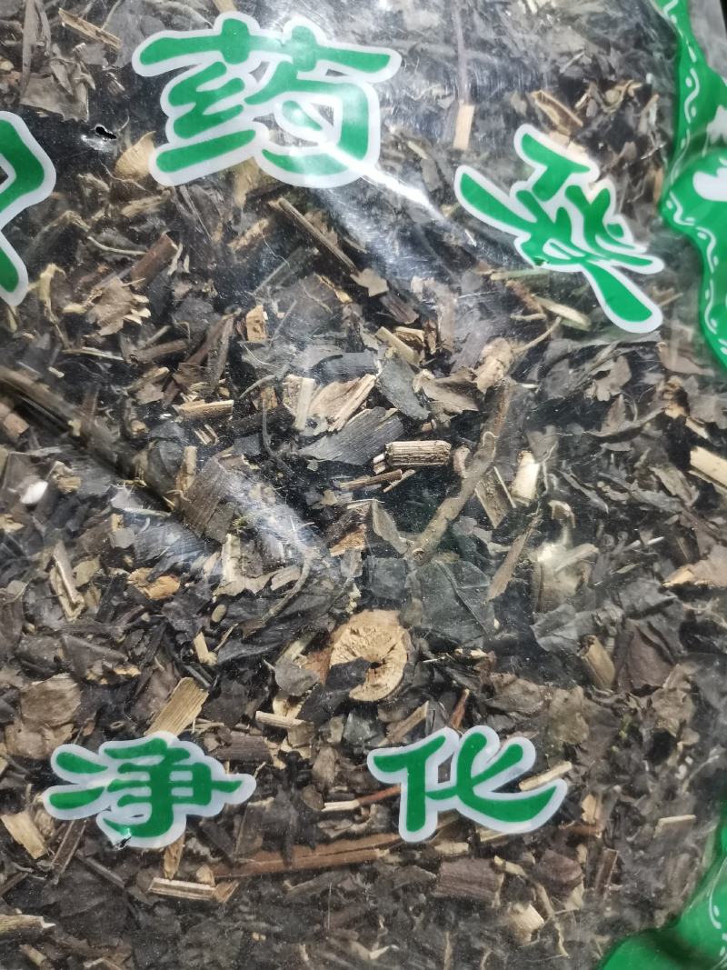肿节风无硫中草药新鲜干货冷背品种2斤起包邮