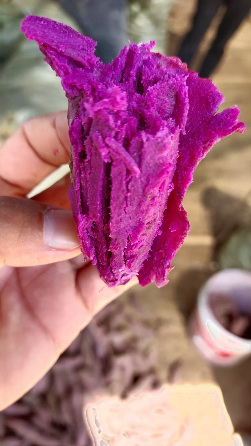 紫薯，紫罗兰，有圆形，漫长形，丘陵沙土地