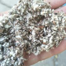 上海棉籽壳玉米芯颗粒，棉渣废棉稻草谷壳麸皮木屑