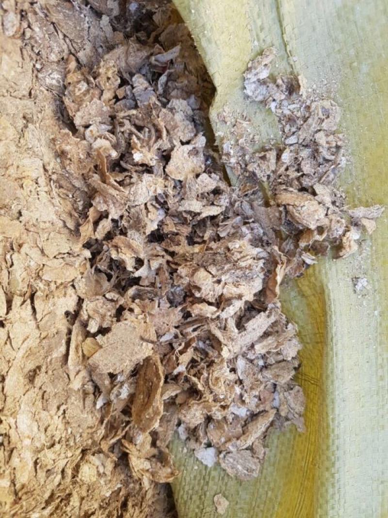 安徽铜陵芜湖宣城市棉籽壳玉米芯颗粒棉渣废棉稻草谷壳