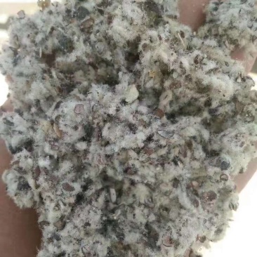 安徽铜陵芜湖宣城市棉籽壳玉米芯颗粒棉渣废棉稻草谷壳