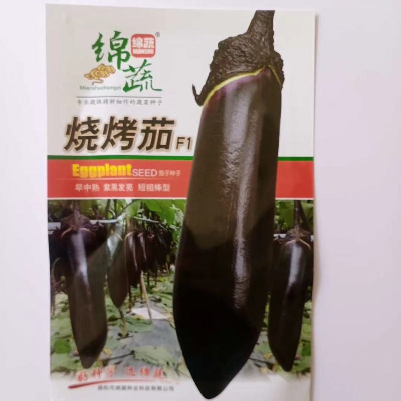 茄子种子烧烤茄子早熟紫黑发亮抗病抗逆
