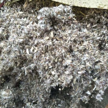辽宁朝阳葫芦岛锦州阜新棉籽壳玉米芯颗粒棉渣废棉稻草谷壳