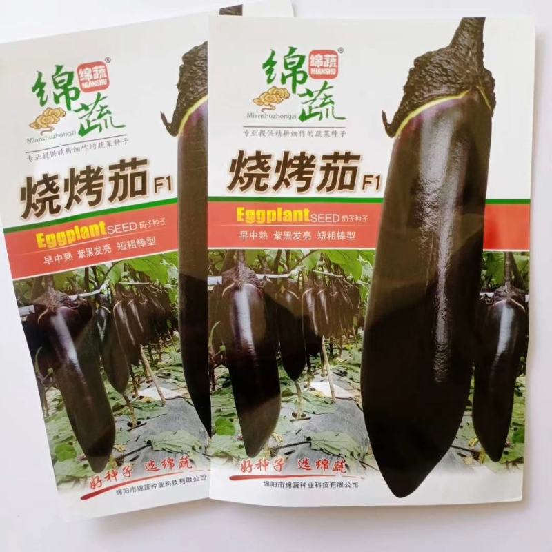 茄子种子烧烤茄子早熟抗病抗逆适应性广