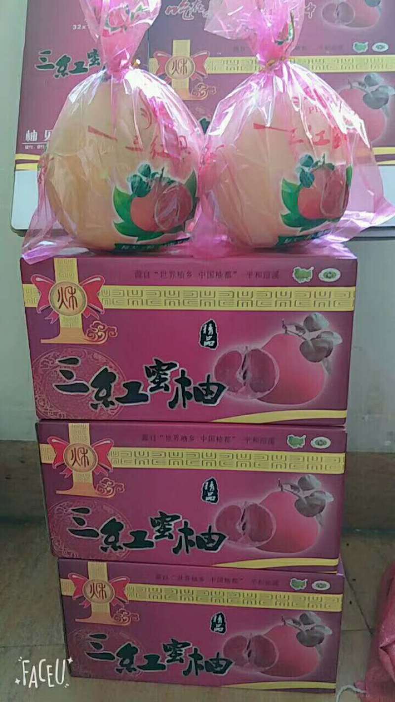 琯溪三红蜜柚苗.三红柚子苗产地发货三红柚子苗可签合同