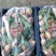 生态沂蒙山，优质农产品，沂蒙山优质冬桃现已大量上市