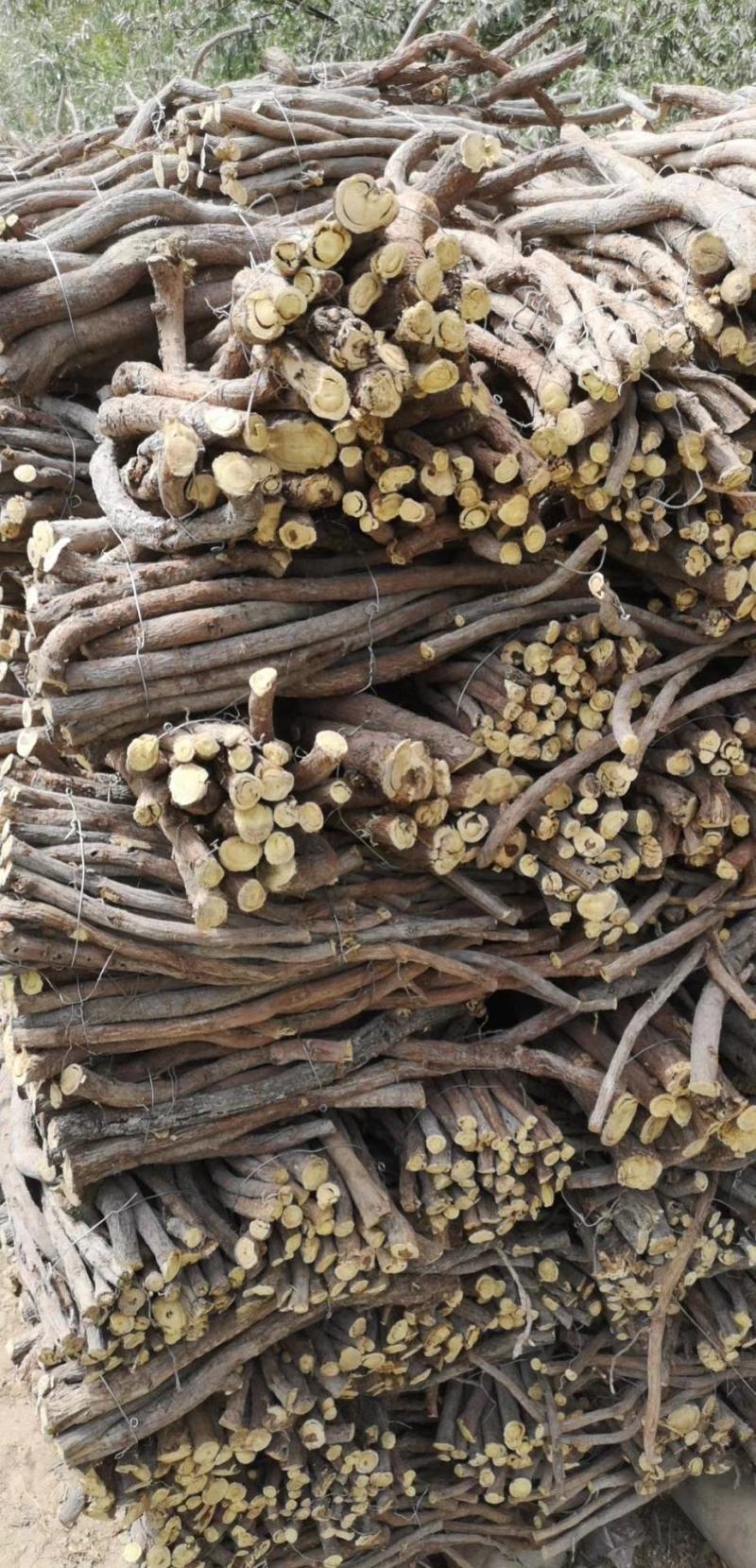 玉门红皮甘草上市新鲜甘草产地价格便宜甘草3-4年种植