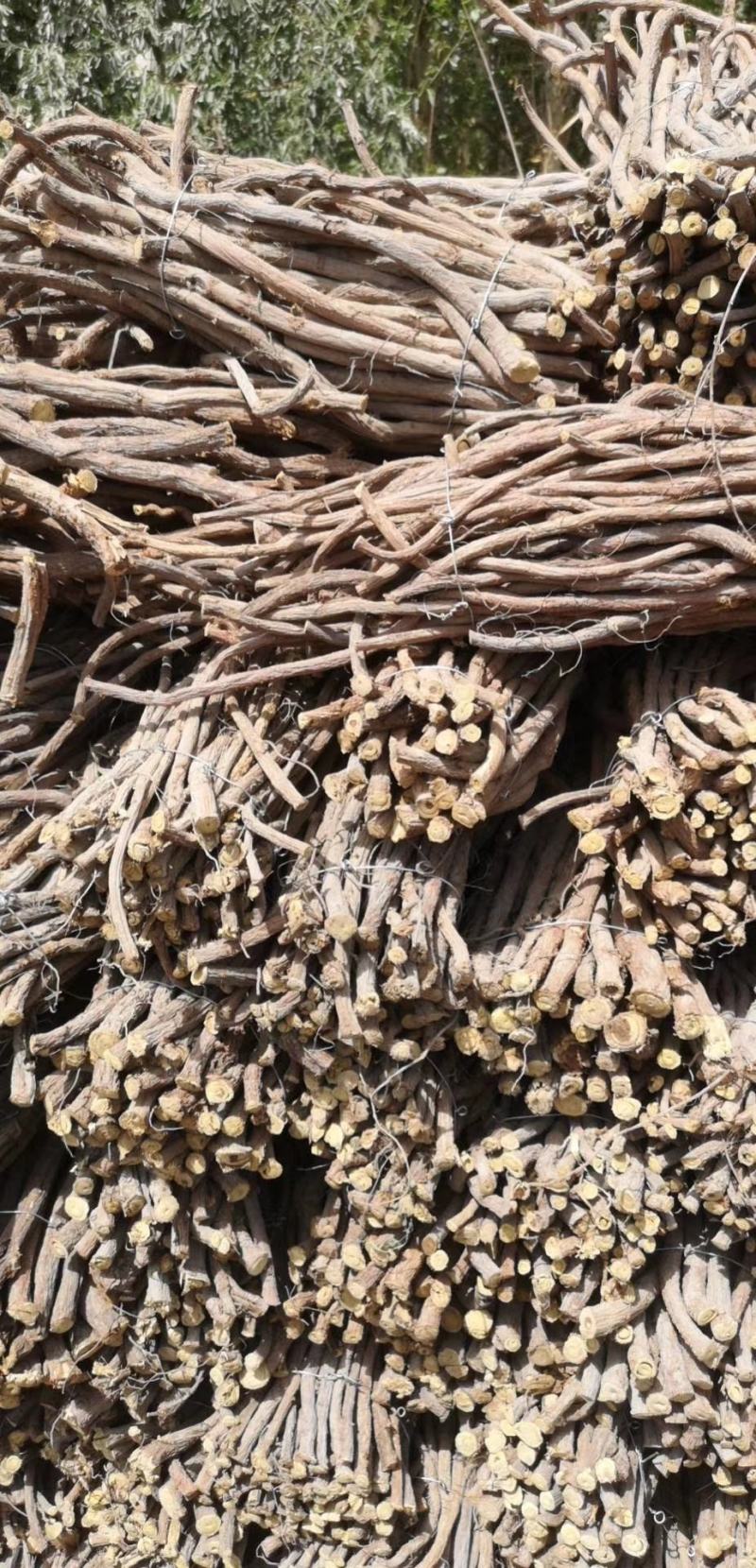 玉门红皮甘草上市新鲜甘草产地价格便宜甘草3-4年种植