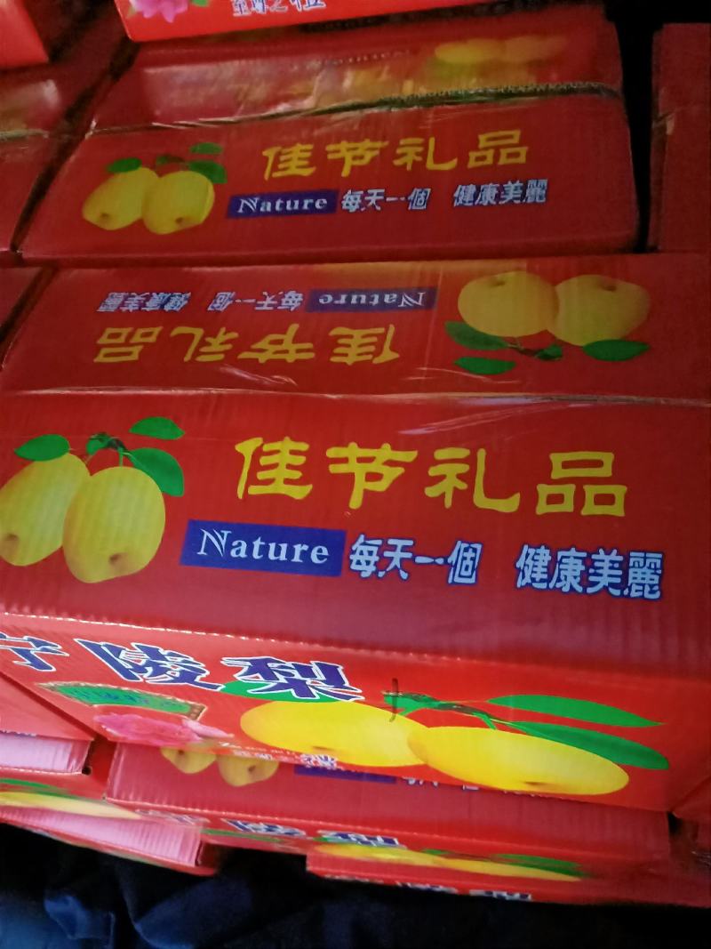 宁陵酥梨私薄核小酥甜