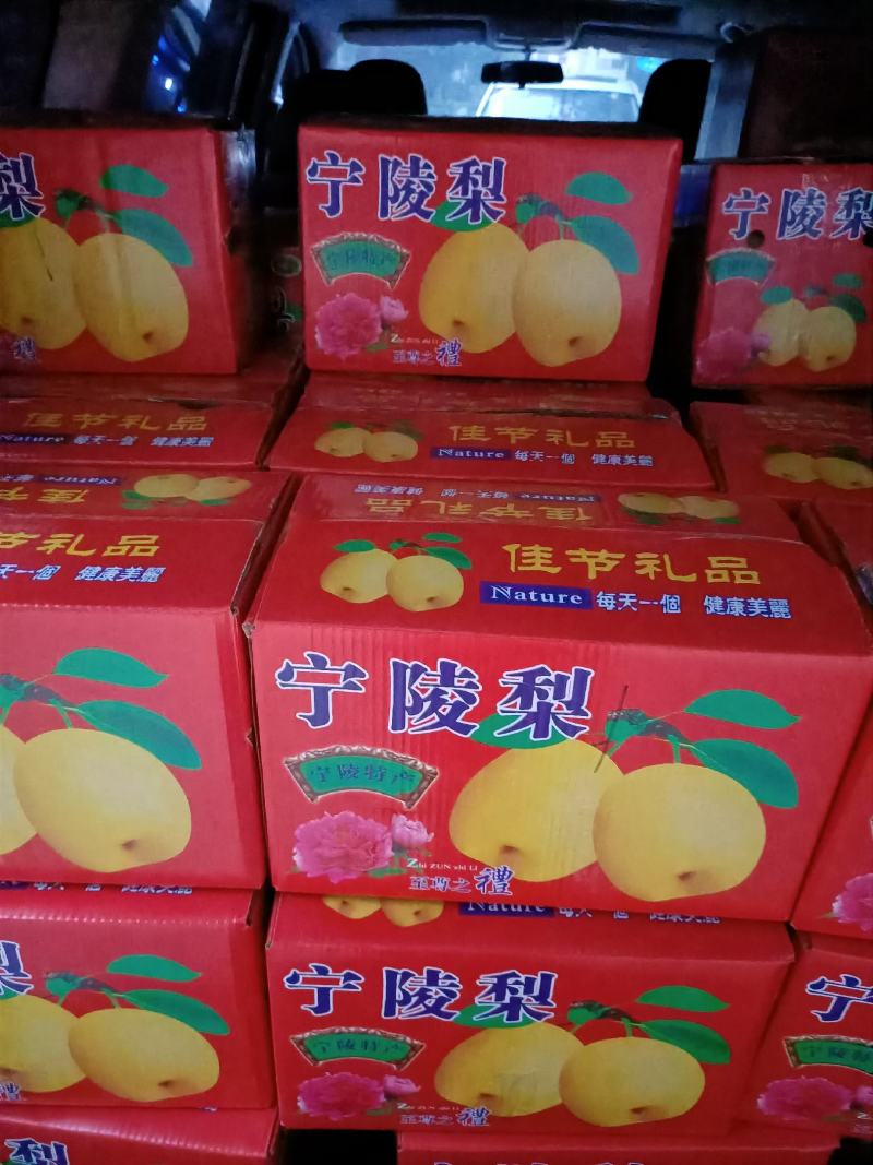 宁陵酥梨私薄核小酥甜