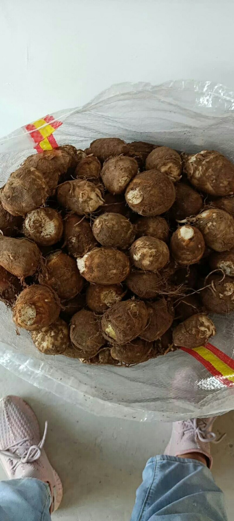 【热销】山东芋头，基地直供，实力代办，量大优惠，欢迎采购