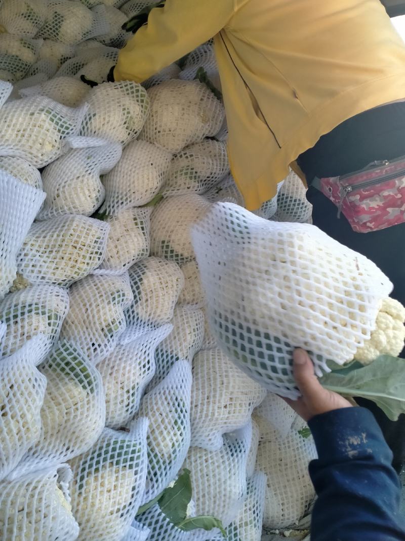 菜花
