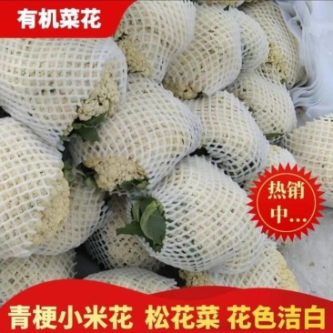 精品菜花，湖北省十万亩基地直供，品种齐全，各种包装走车