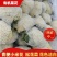 精品菜花，湖北省十万亩基地直供，品种齐全，各种包装走车