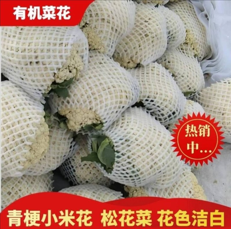 精品菜花，湖北省十万亩基地直供，品种齐全，各种包装走车